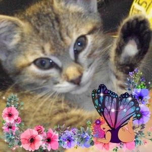 Meet your Posher, Diane